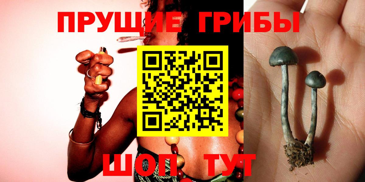 купить закладку  Галлюциногенные грибы GOLDEN TEACHER  Вход с VPN  Галлюциногенные грибы ЛСД  Кашира 