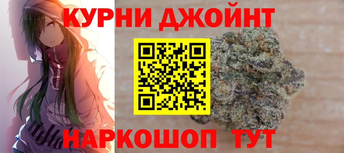Каннабис индика Кашира